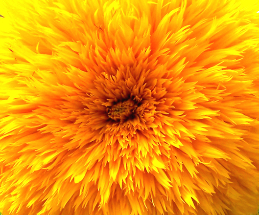 Ode To The Summer&nbsp;Solstice