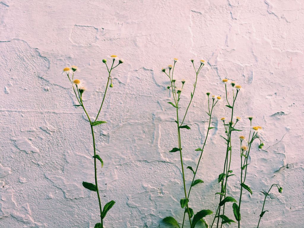 Wordless Wednesday with Allyson&nbsp;Durr