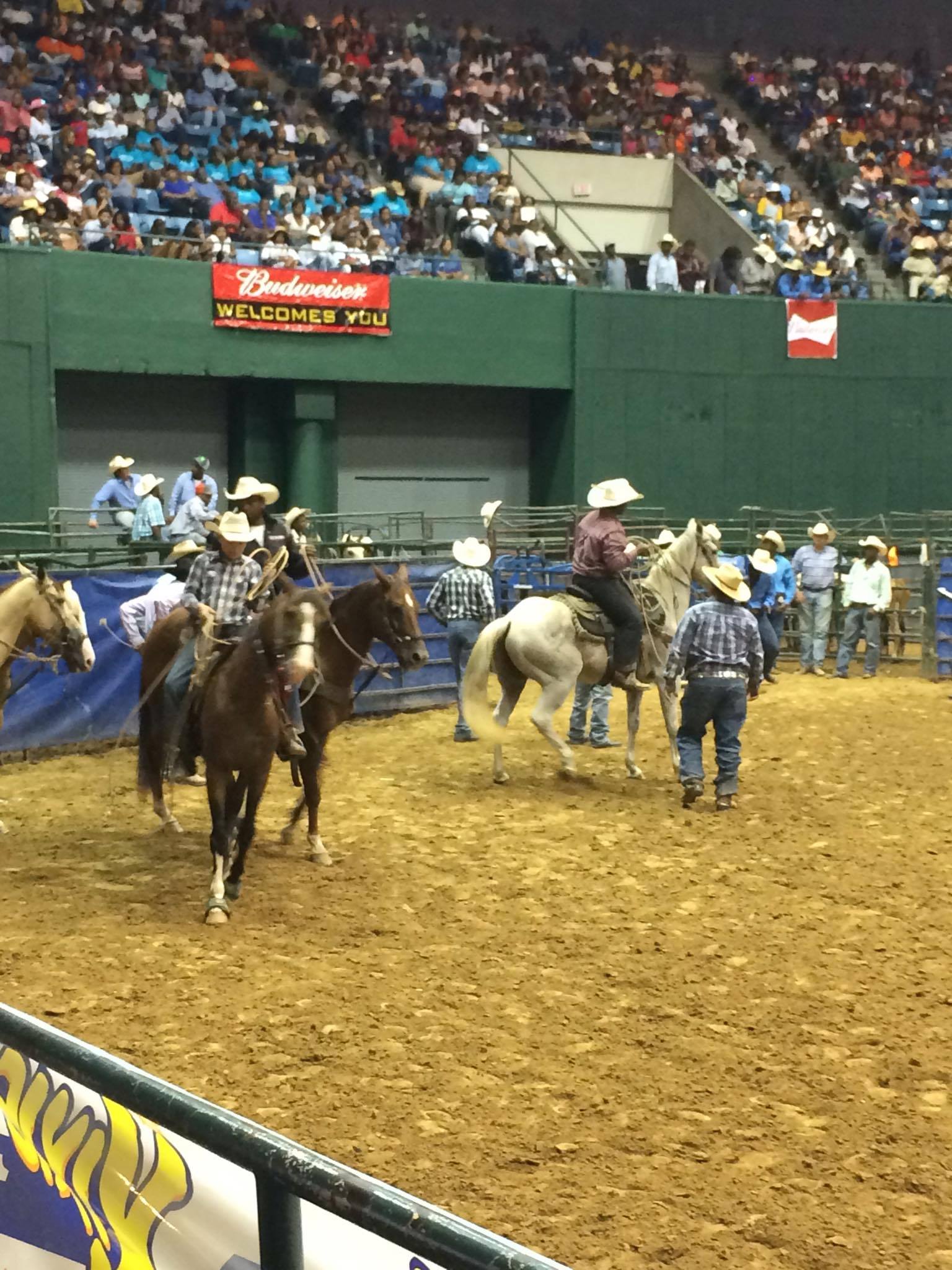 13647092_2792066522549_1995499244_o